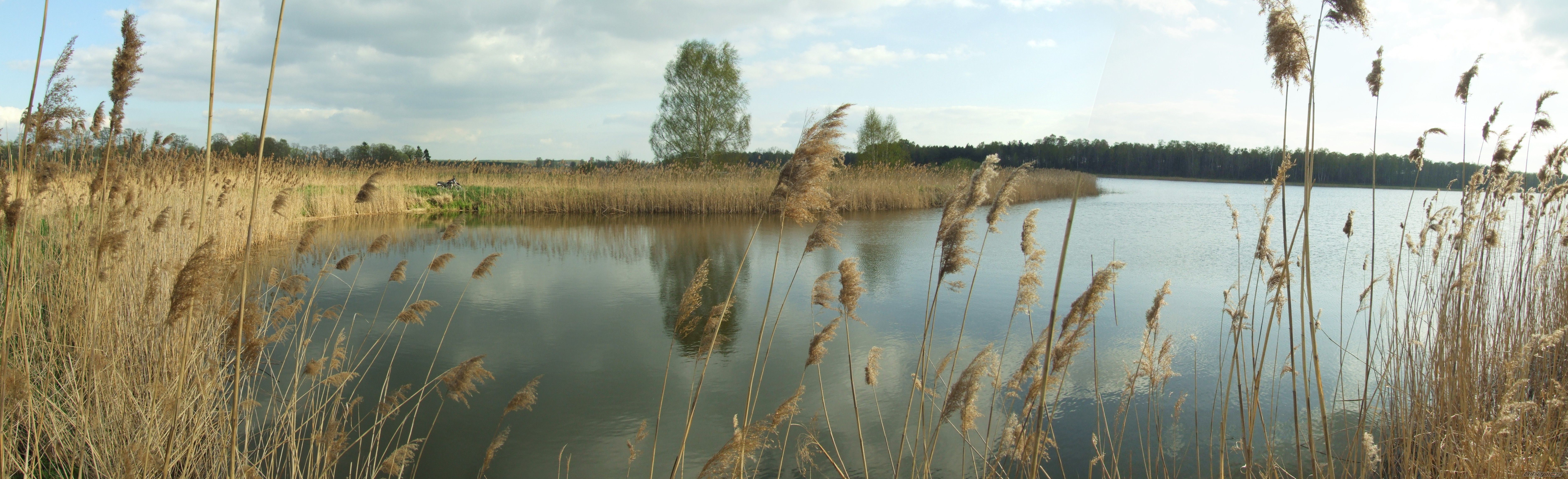 Photo 1261740