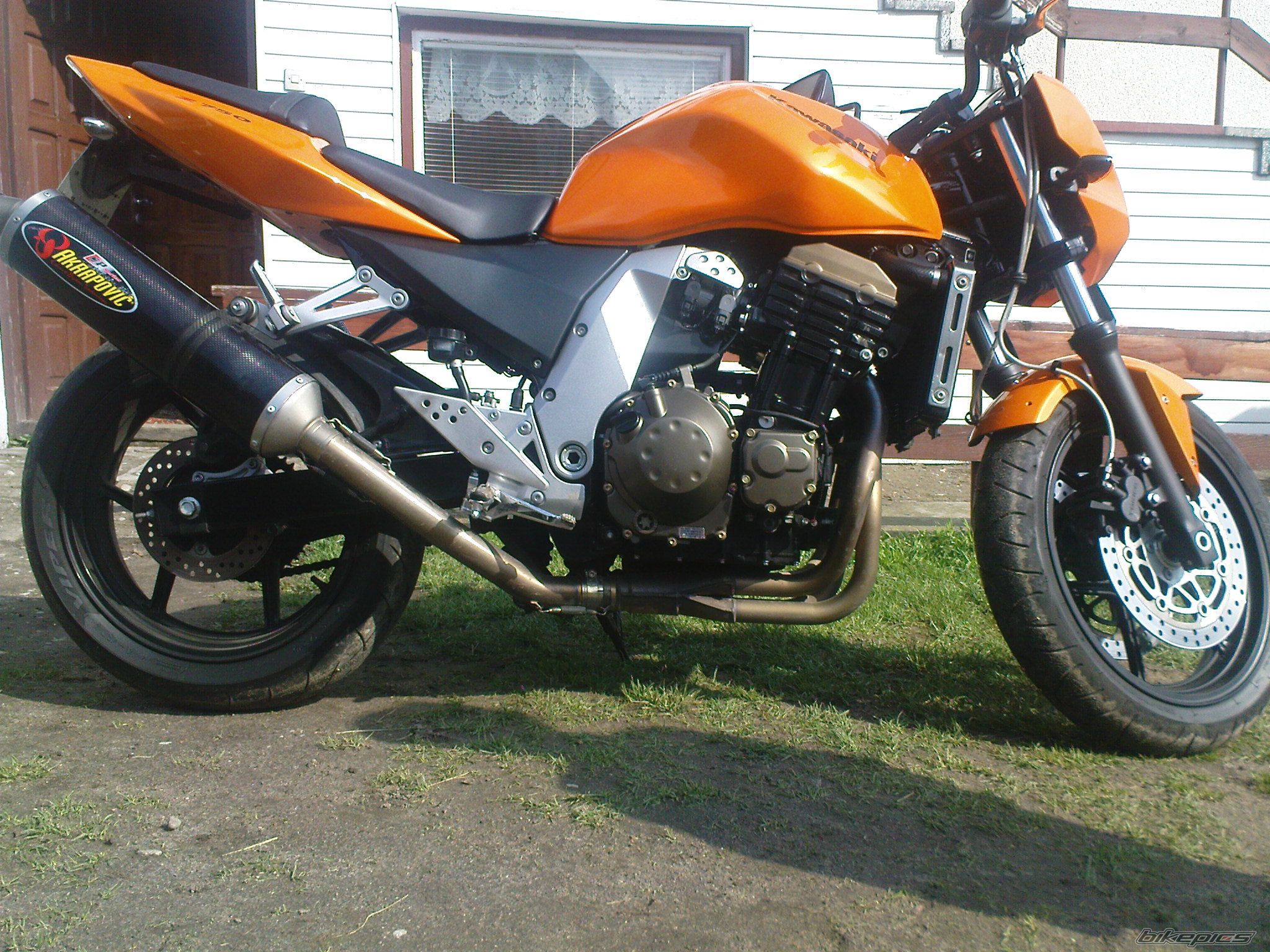 Photo 1261821