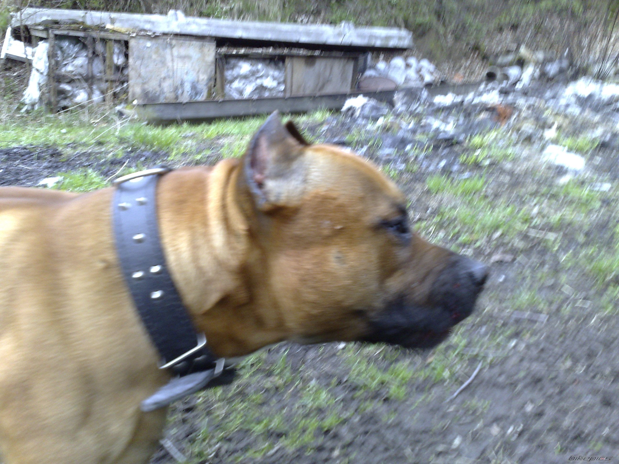 Photo 1261823