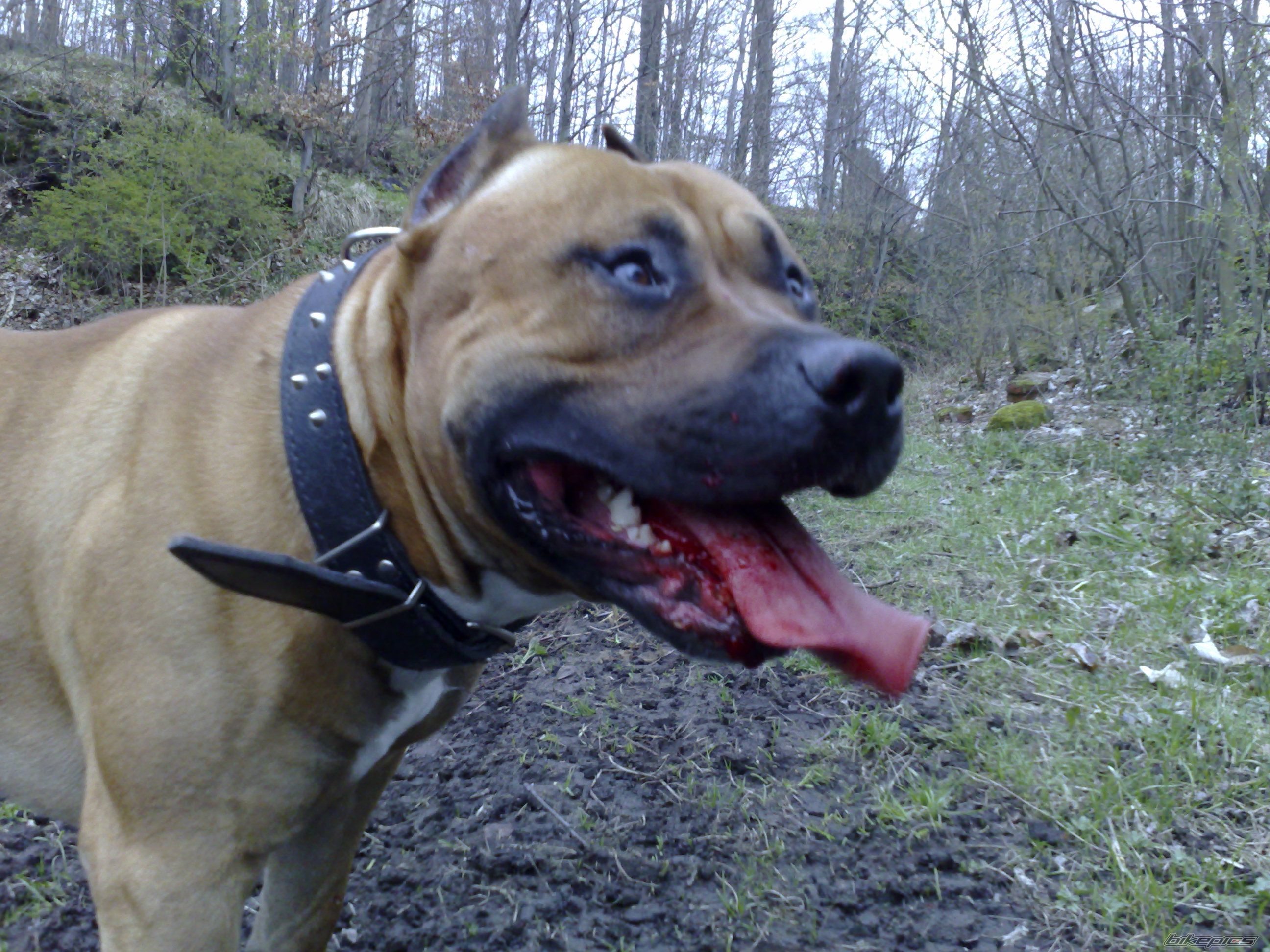 Photo 1261834