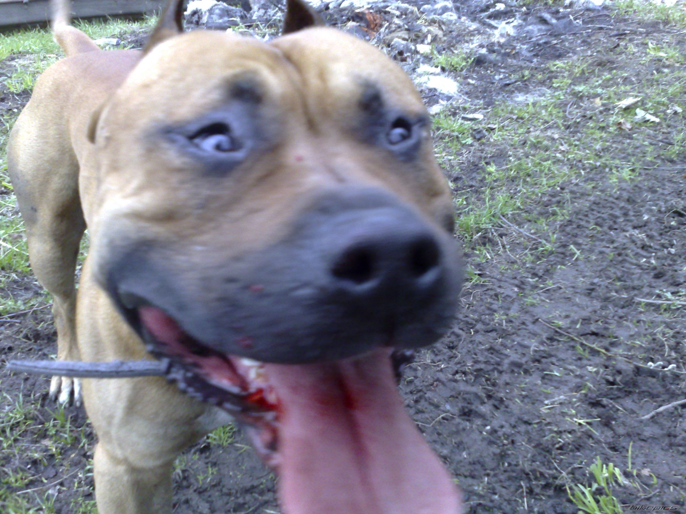 Photo 1261839