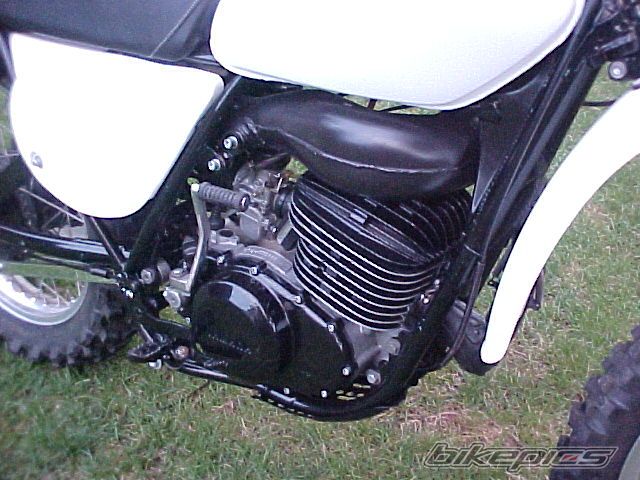 Photo 1262033