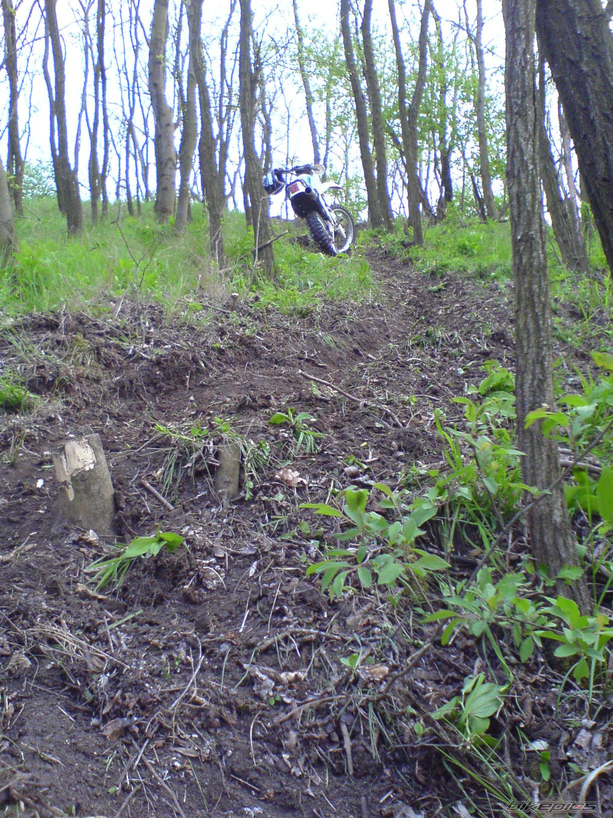 Photo 1262115