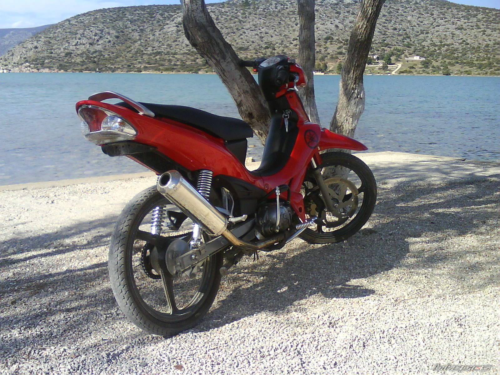 Photo 1262226