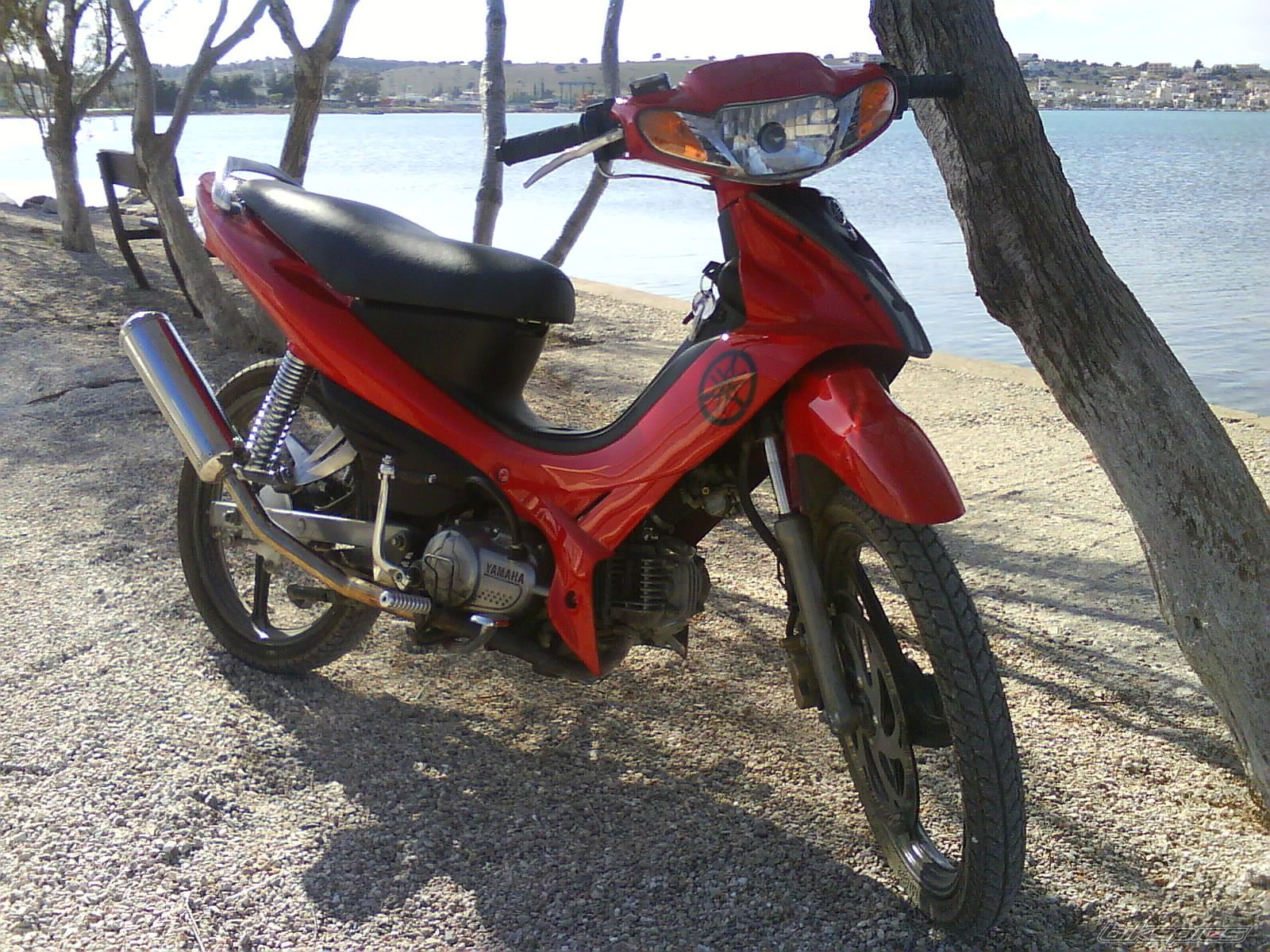 Photo 1262230