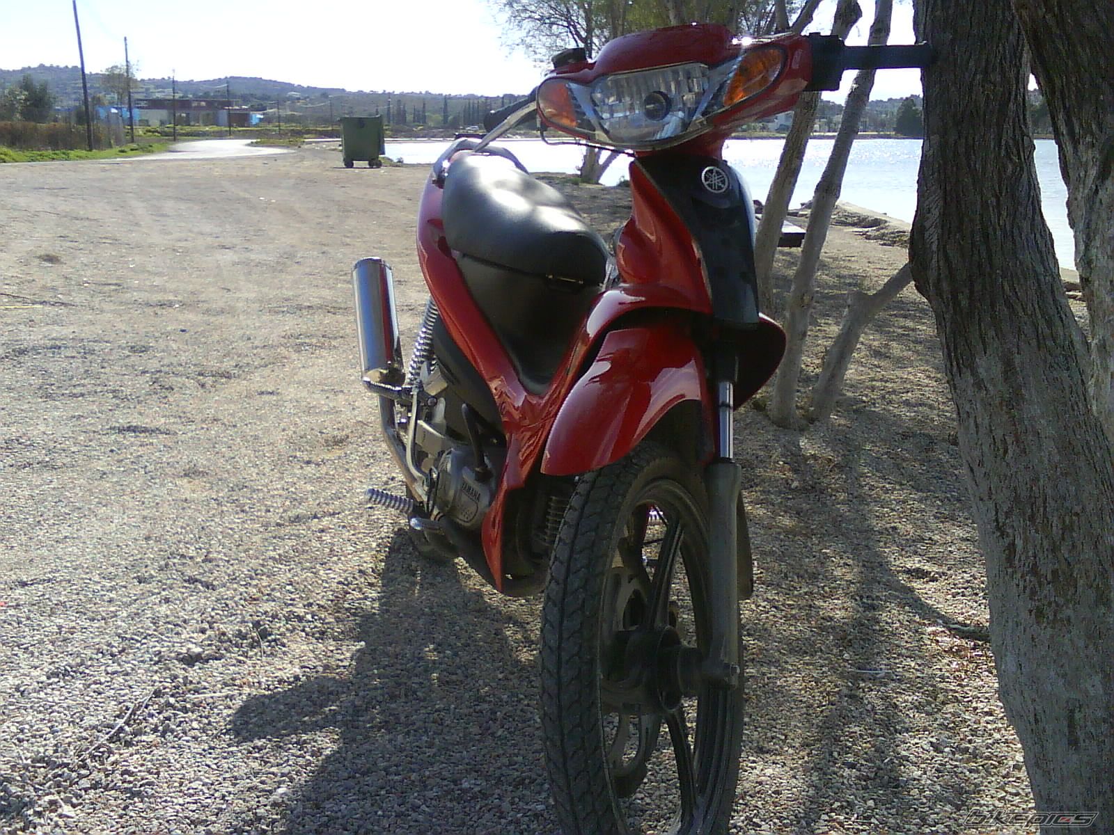 Photo 1262232