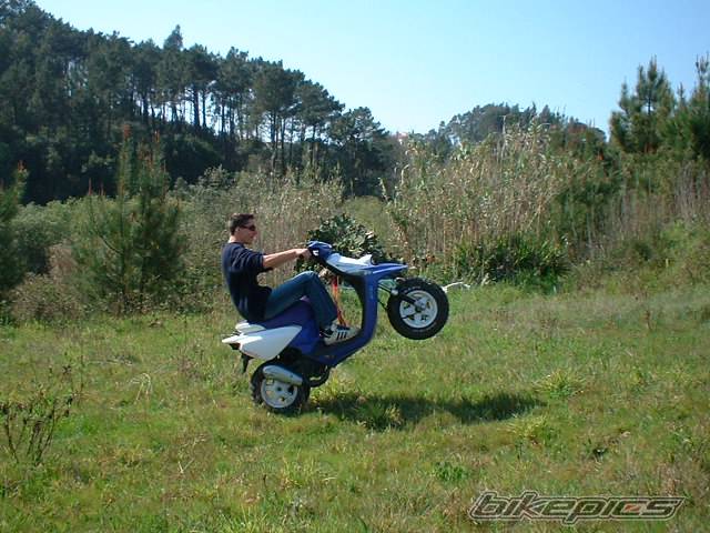 Photo 126225
