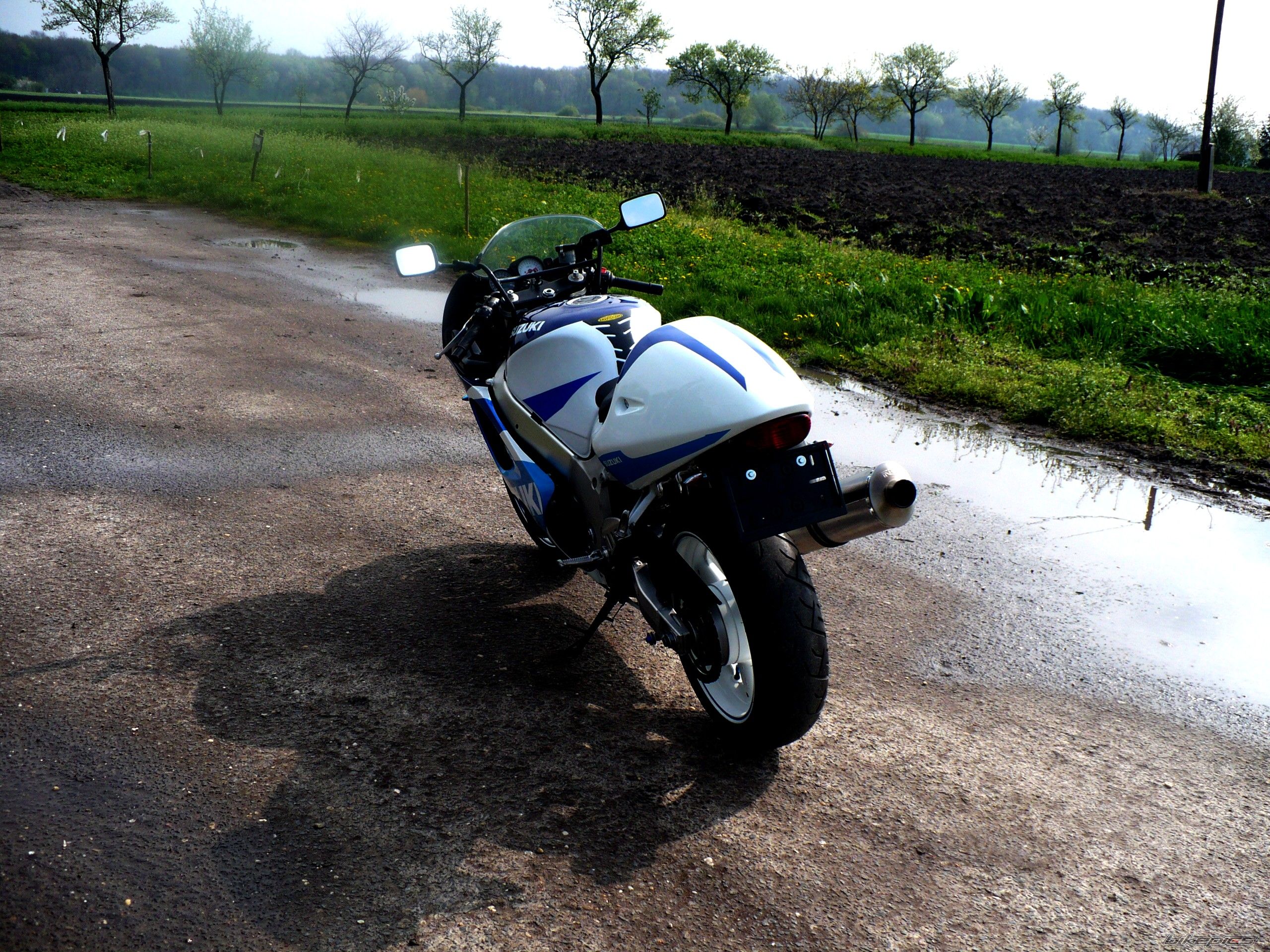 Photo 1262325