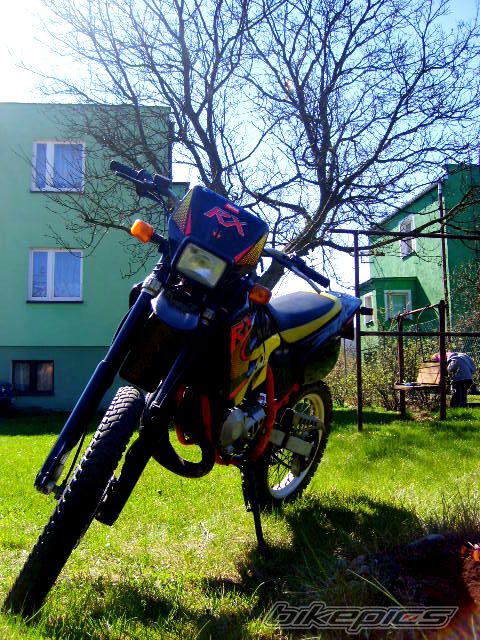 Photo 1262342