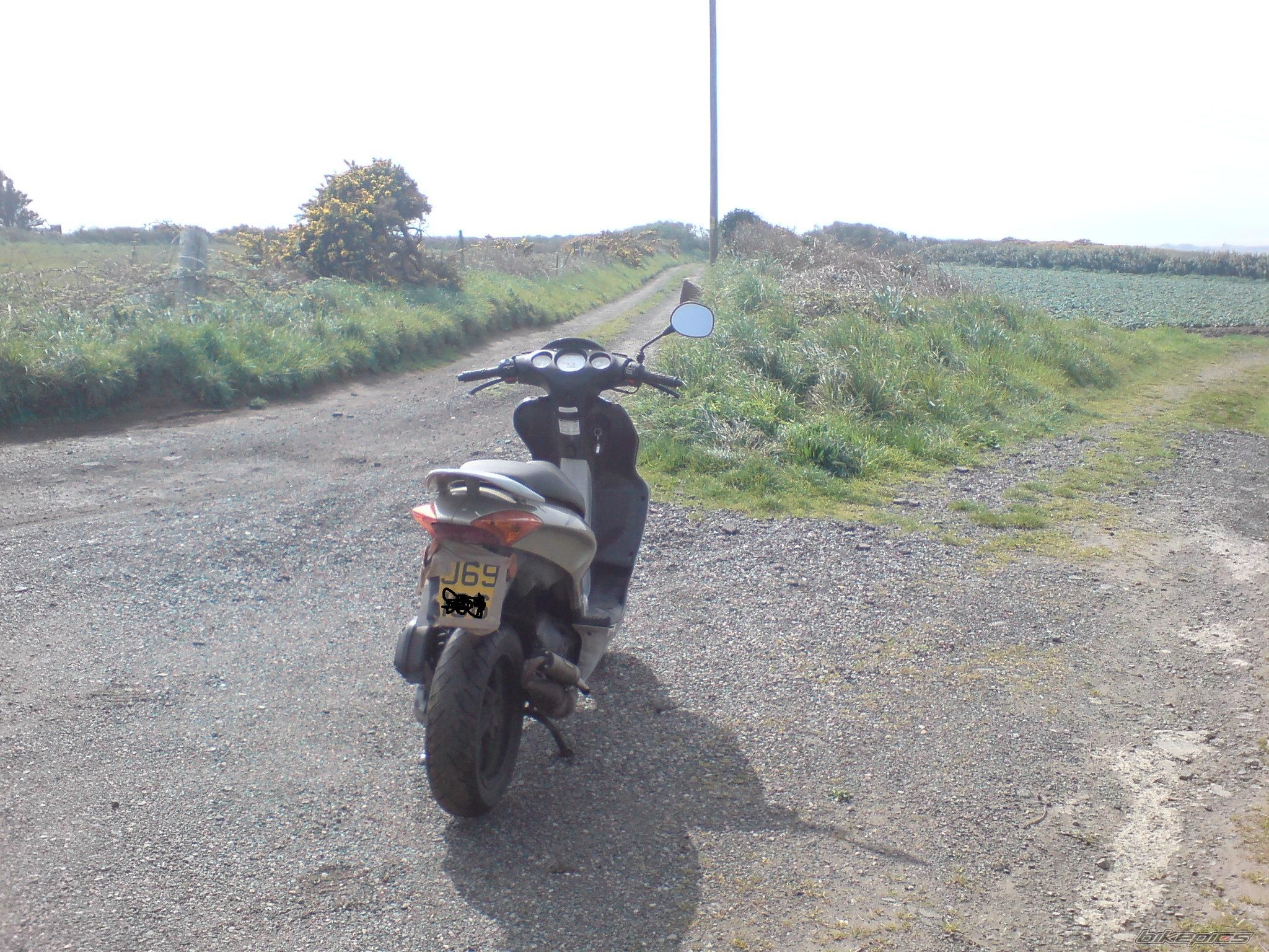 Photo 1262397