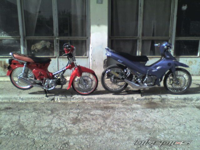Photo 1262414