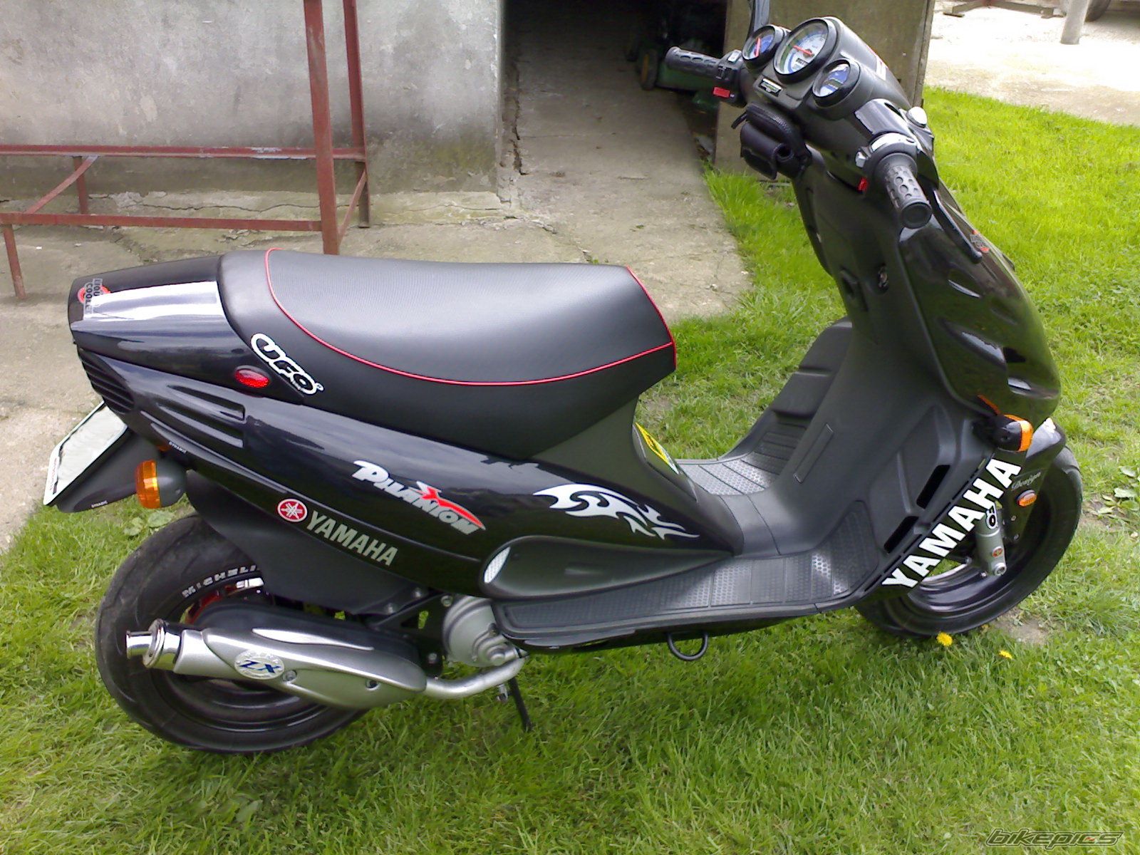 Photo 1262531