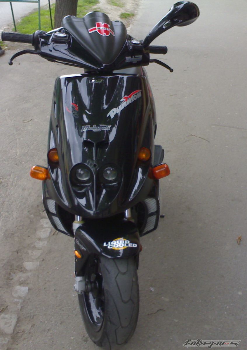 Photo 1262545