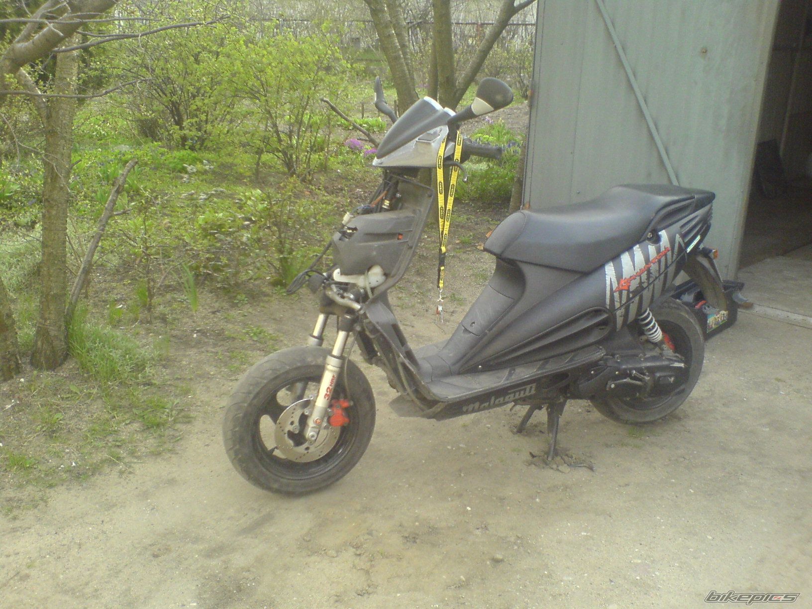 Photo 1262591