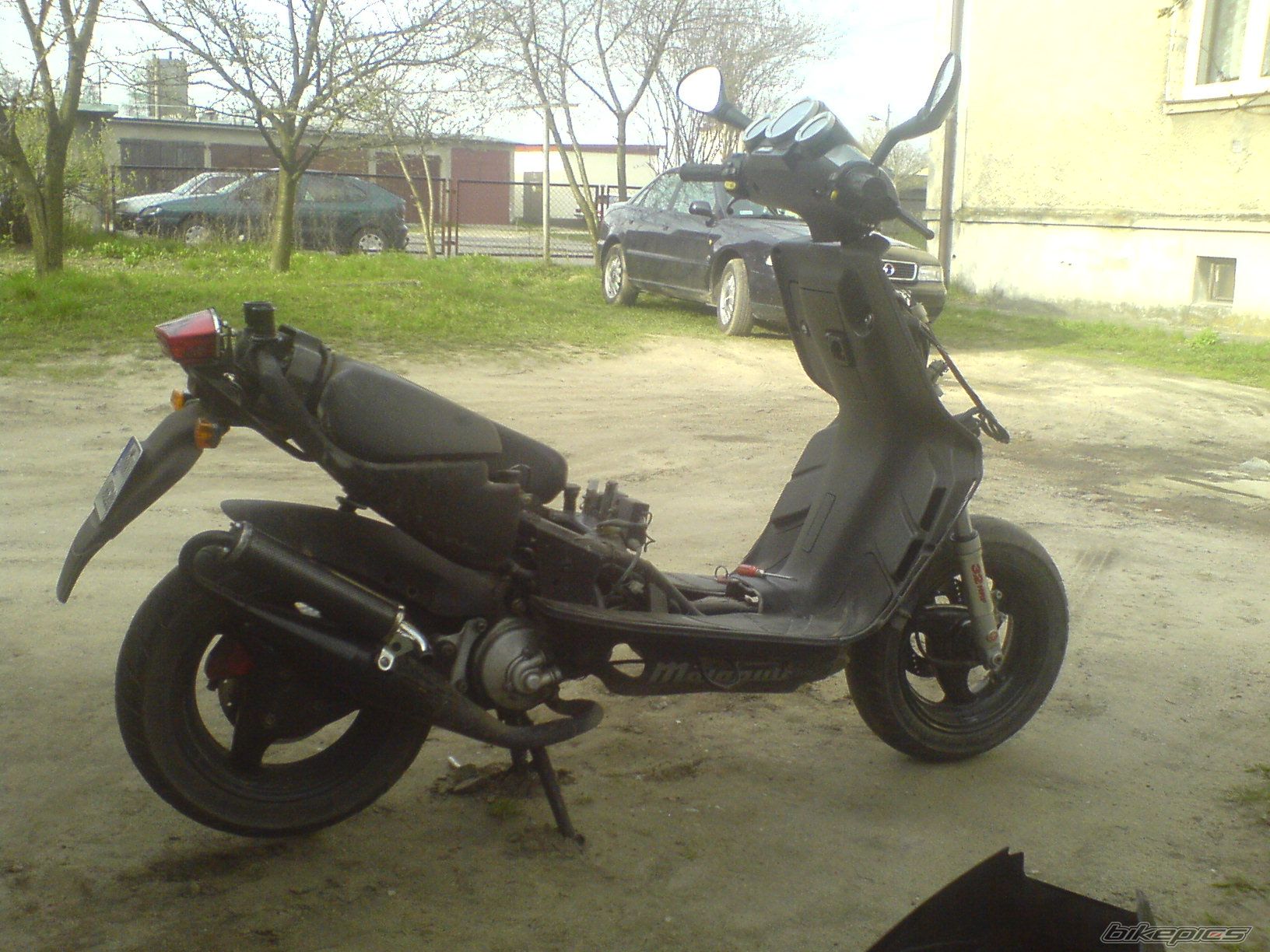Photo 1262610