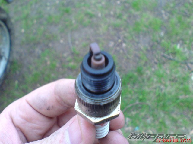 Photo 1262651