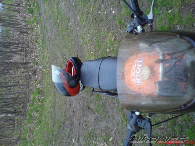 Photo 1262689