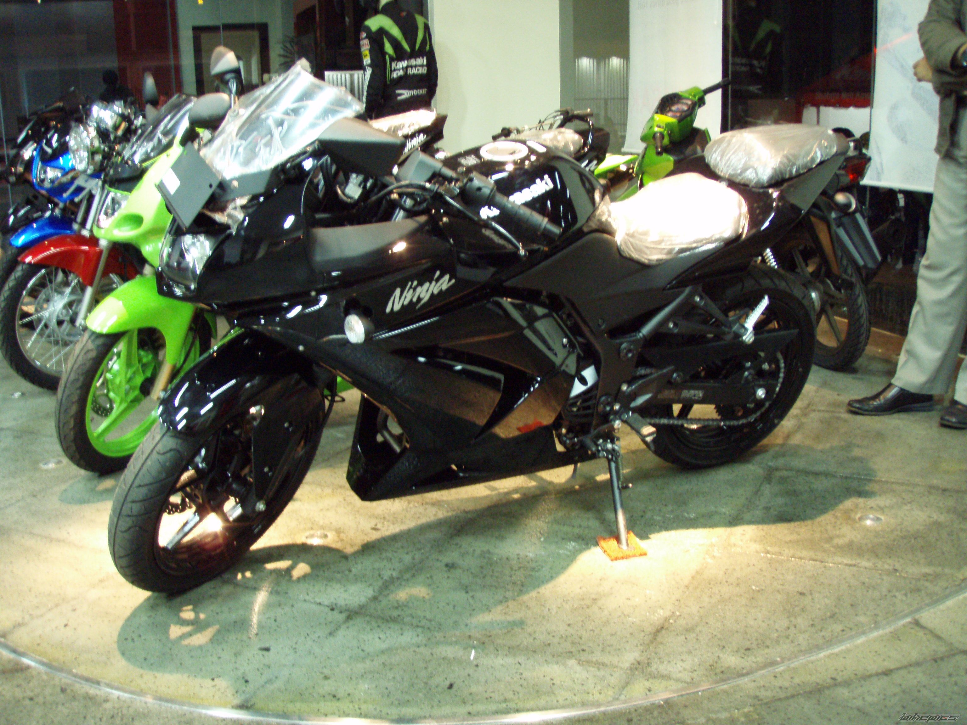 Photo 1262694