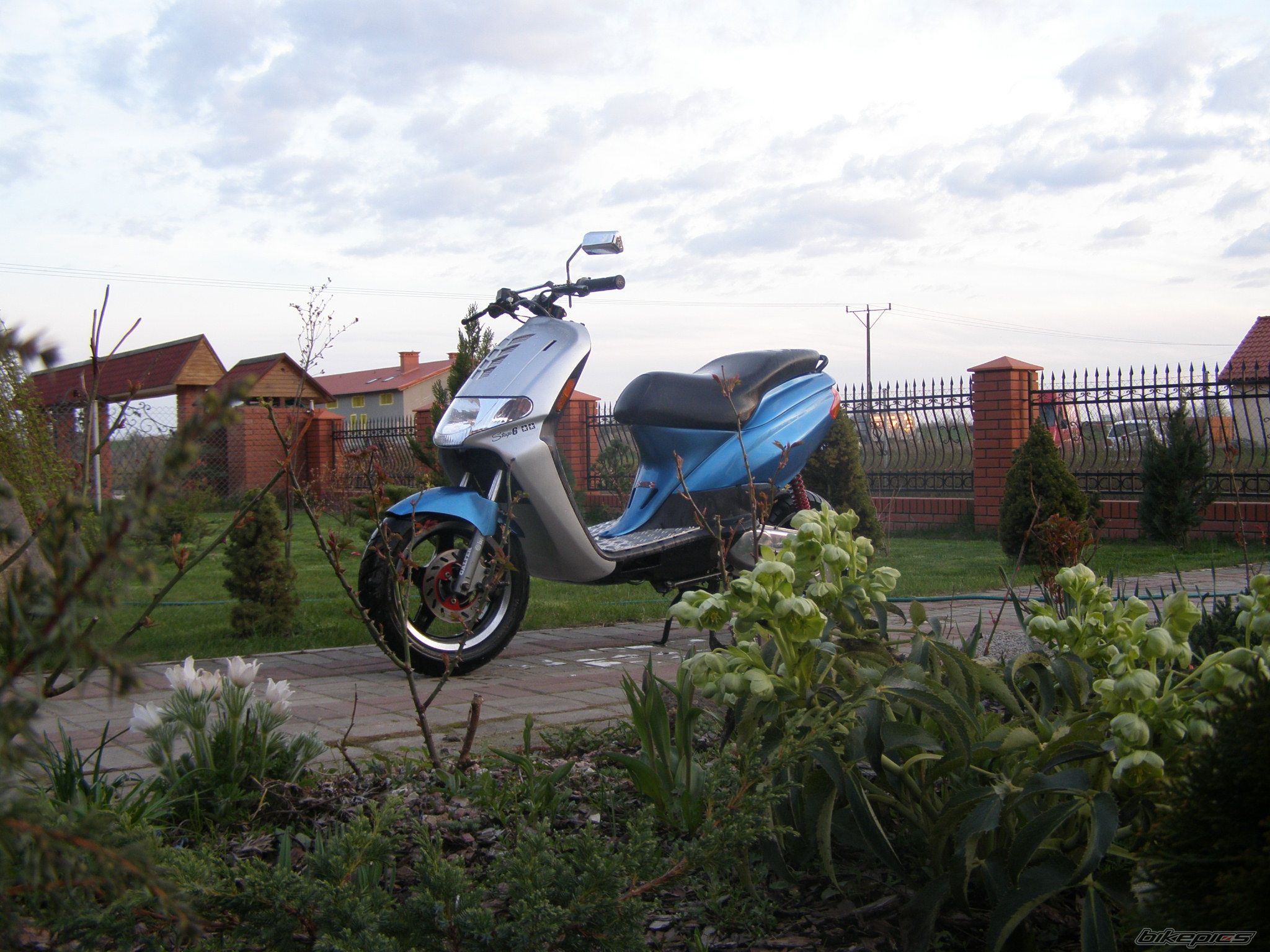 Photo 1262724