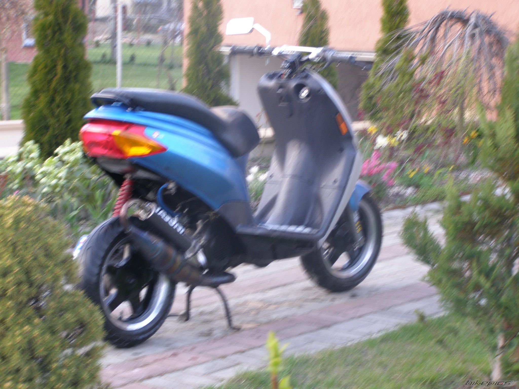 Photo 1262731