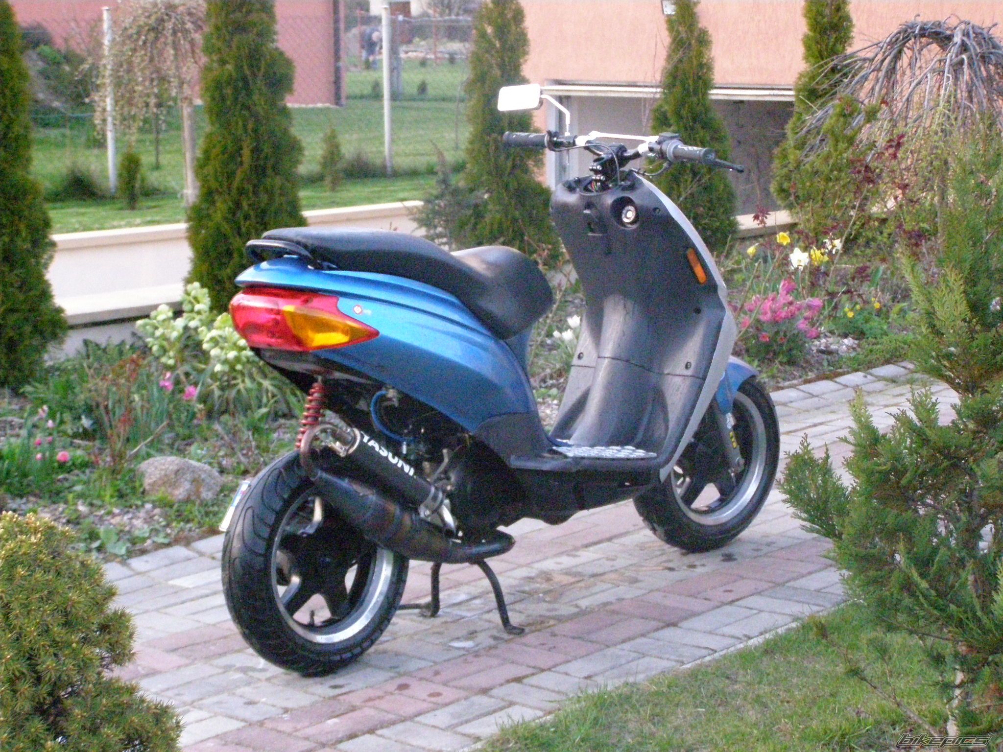 Photo 1262733