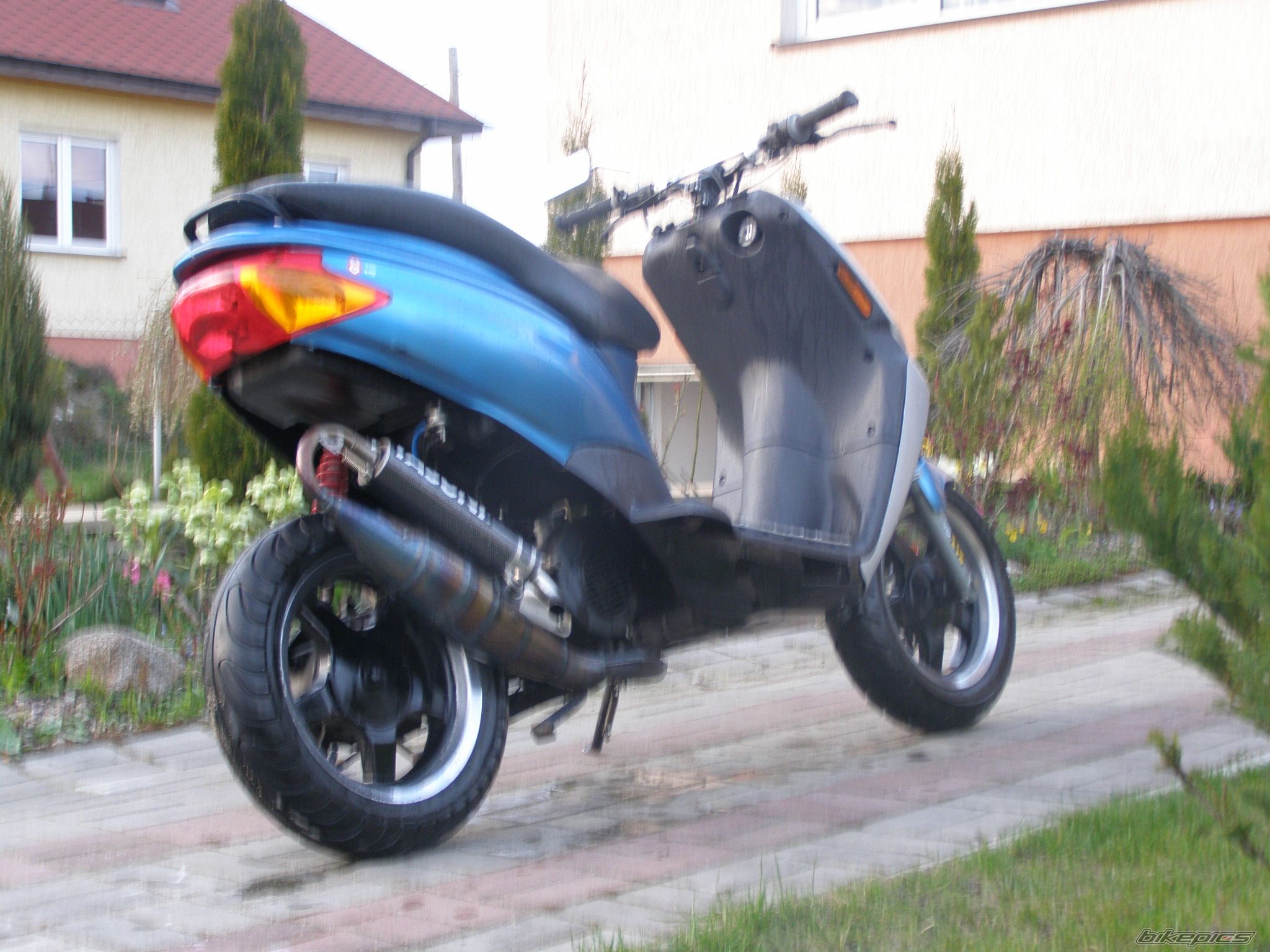 Photo 1262737