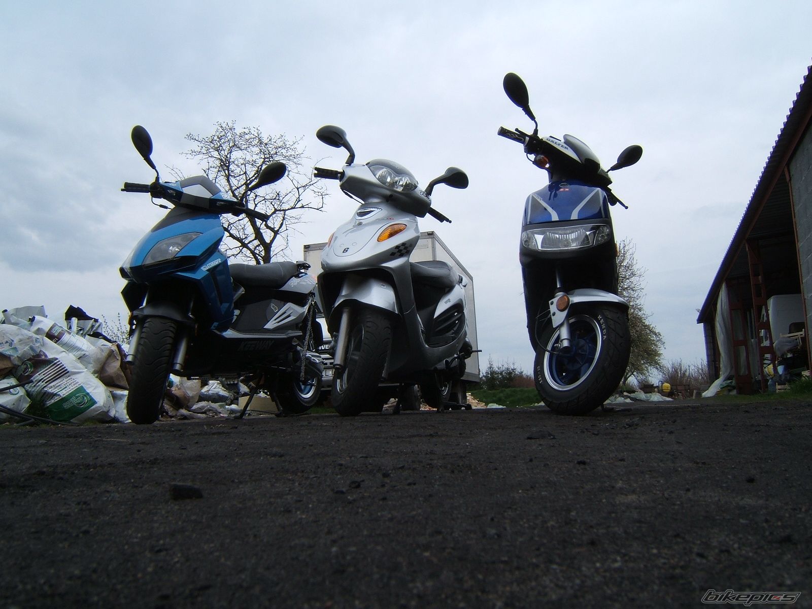 Photo 1262778