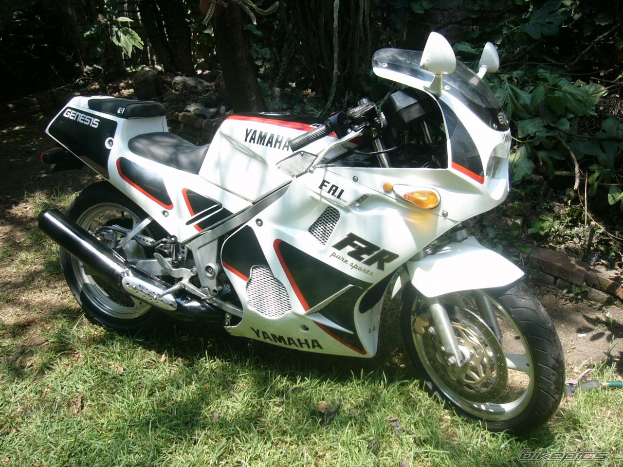 Bike Photo 1262792