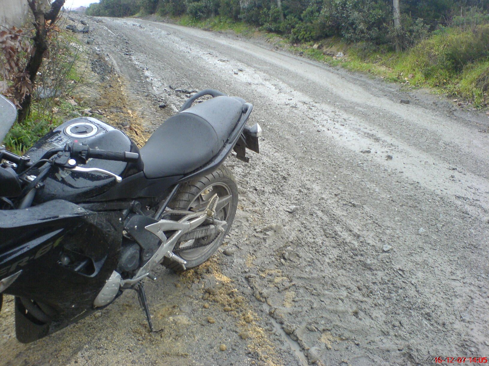 Photo 1262802