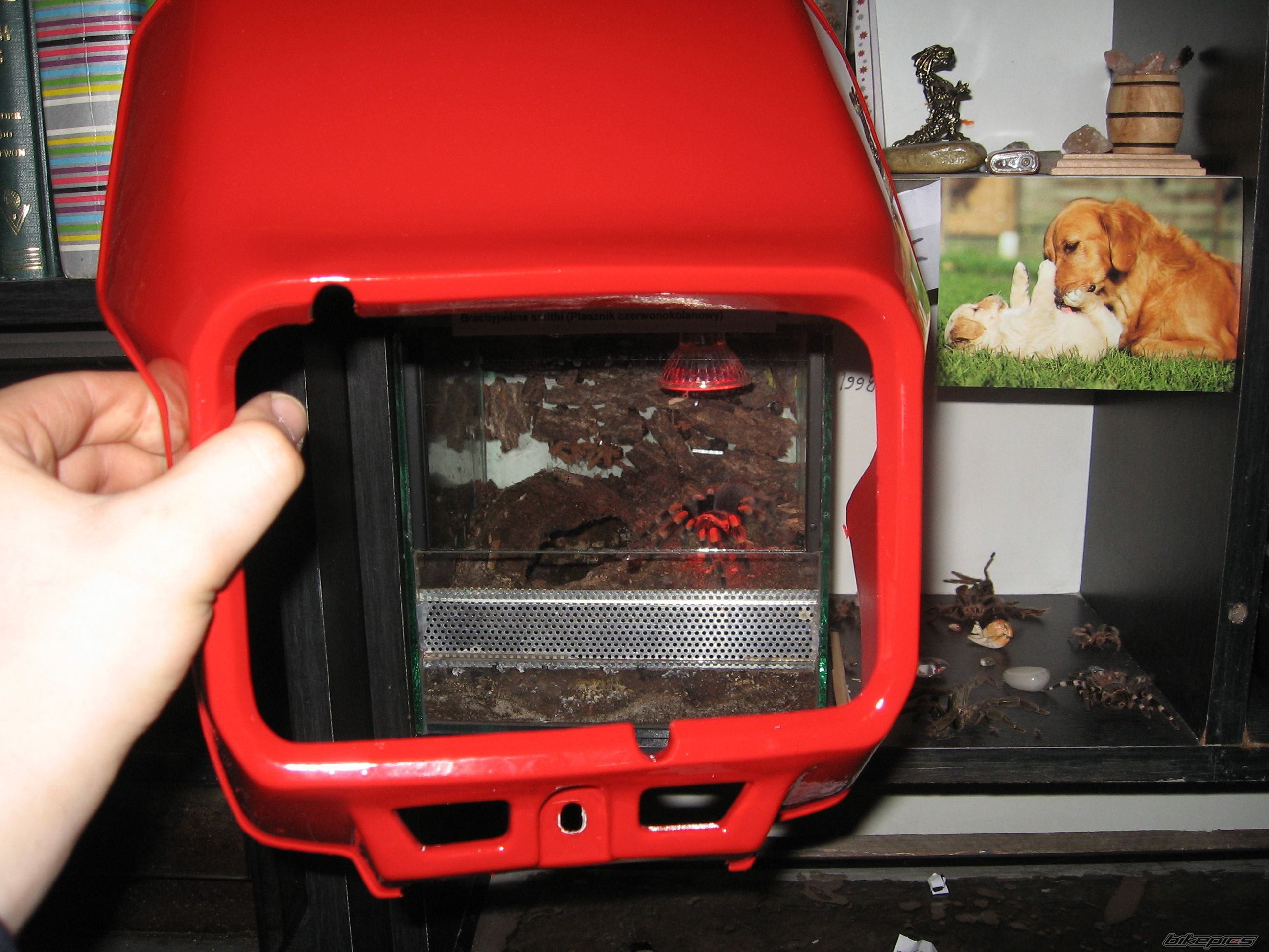 Photo 1262847