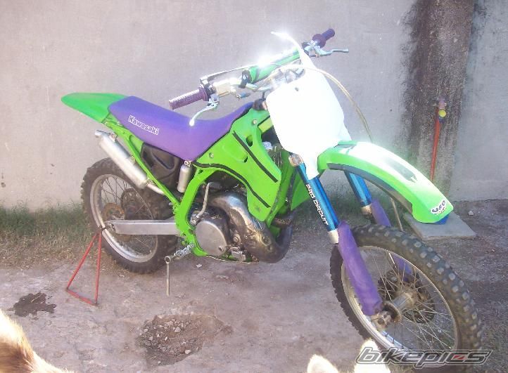 Photo 1262854