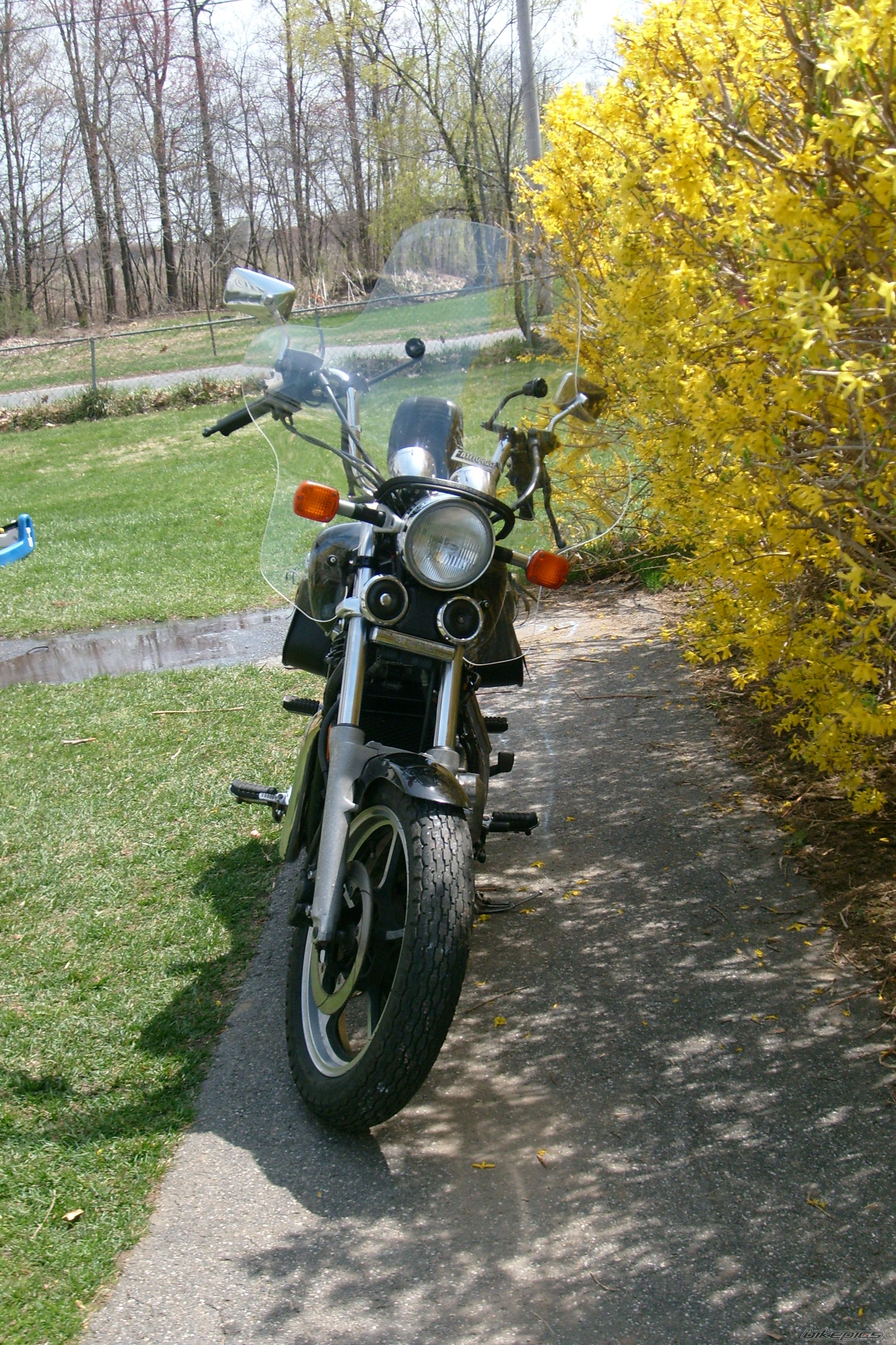 Photo 1262867