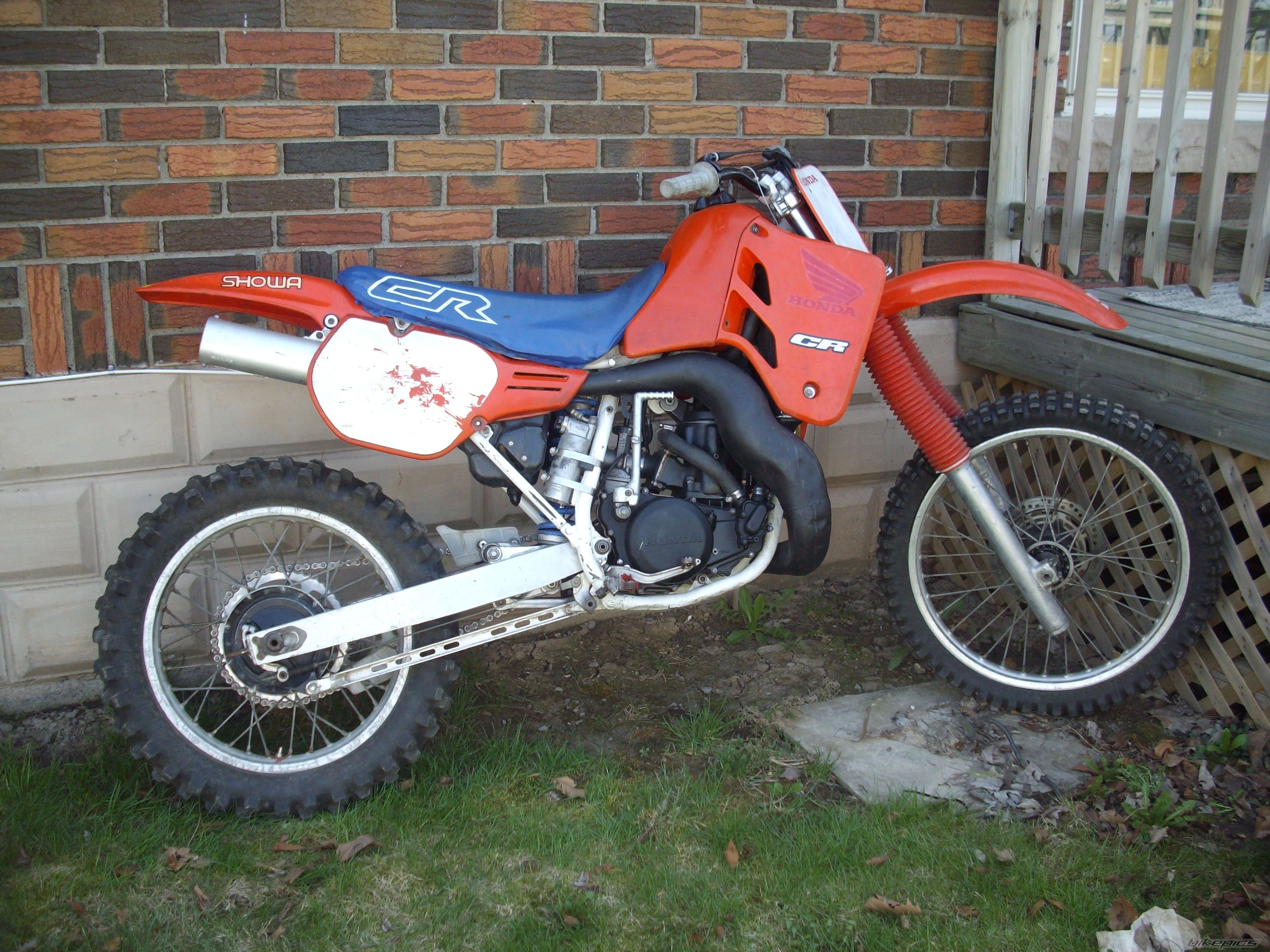 Photo 1262936