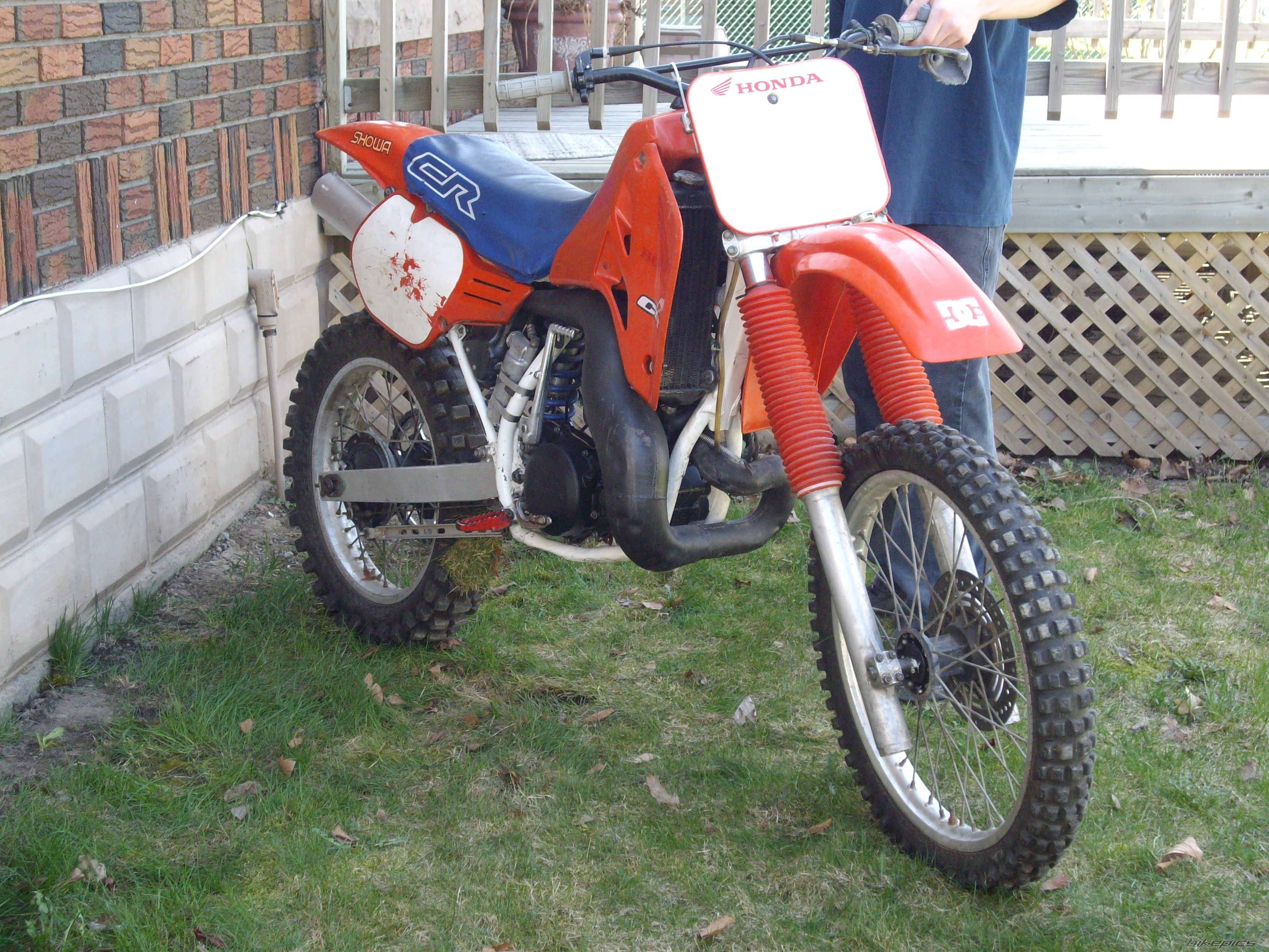 Photo 1262944