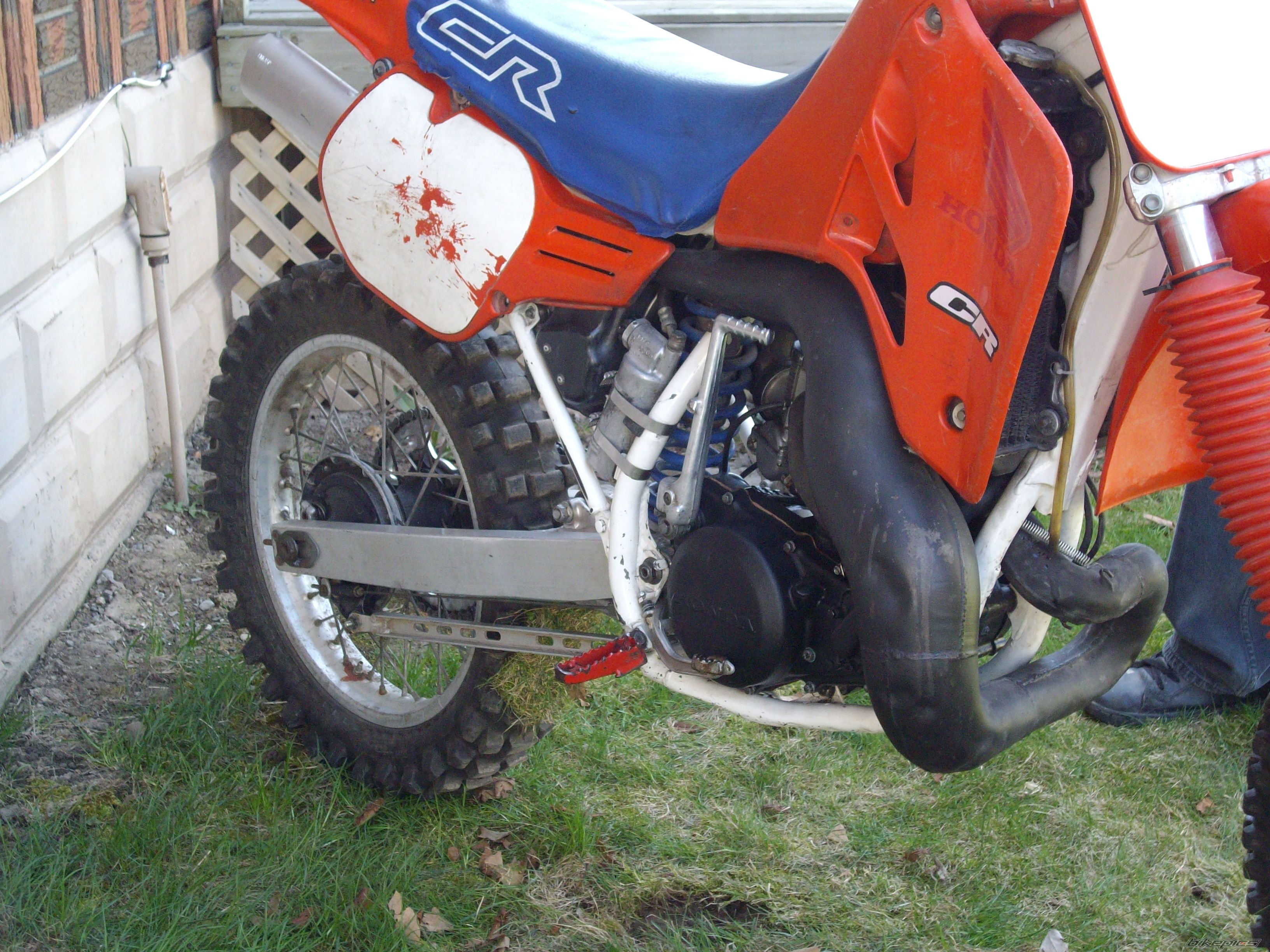 Photo 1262946