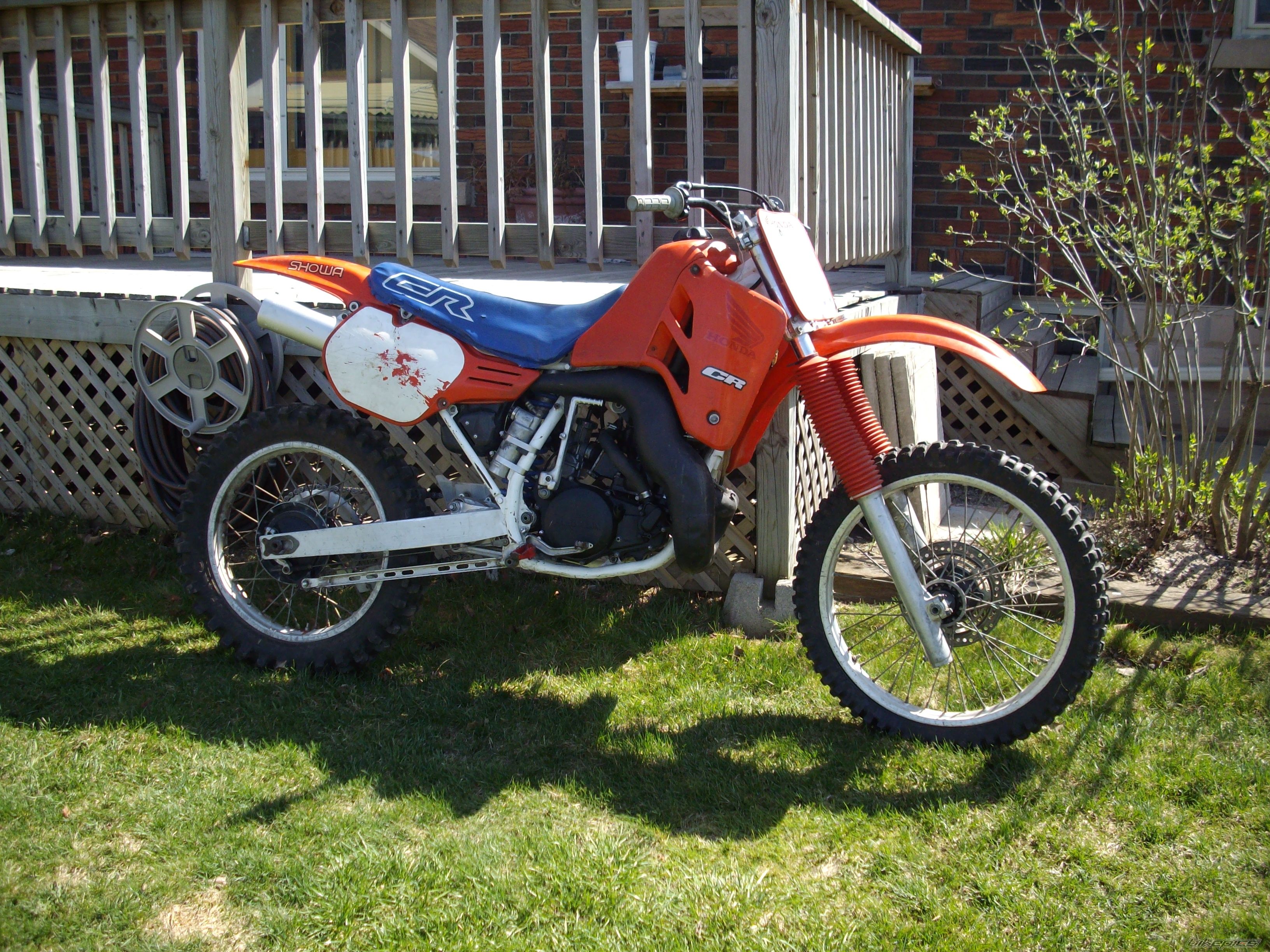 Photo 1262949