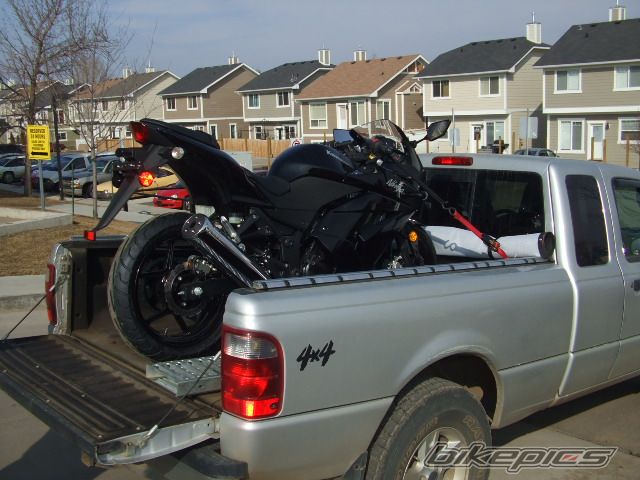 Photo 1262969