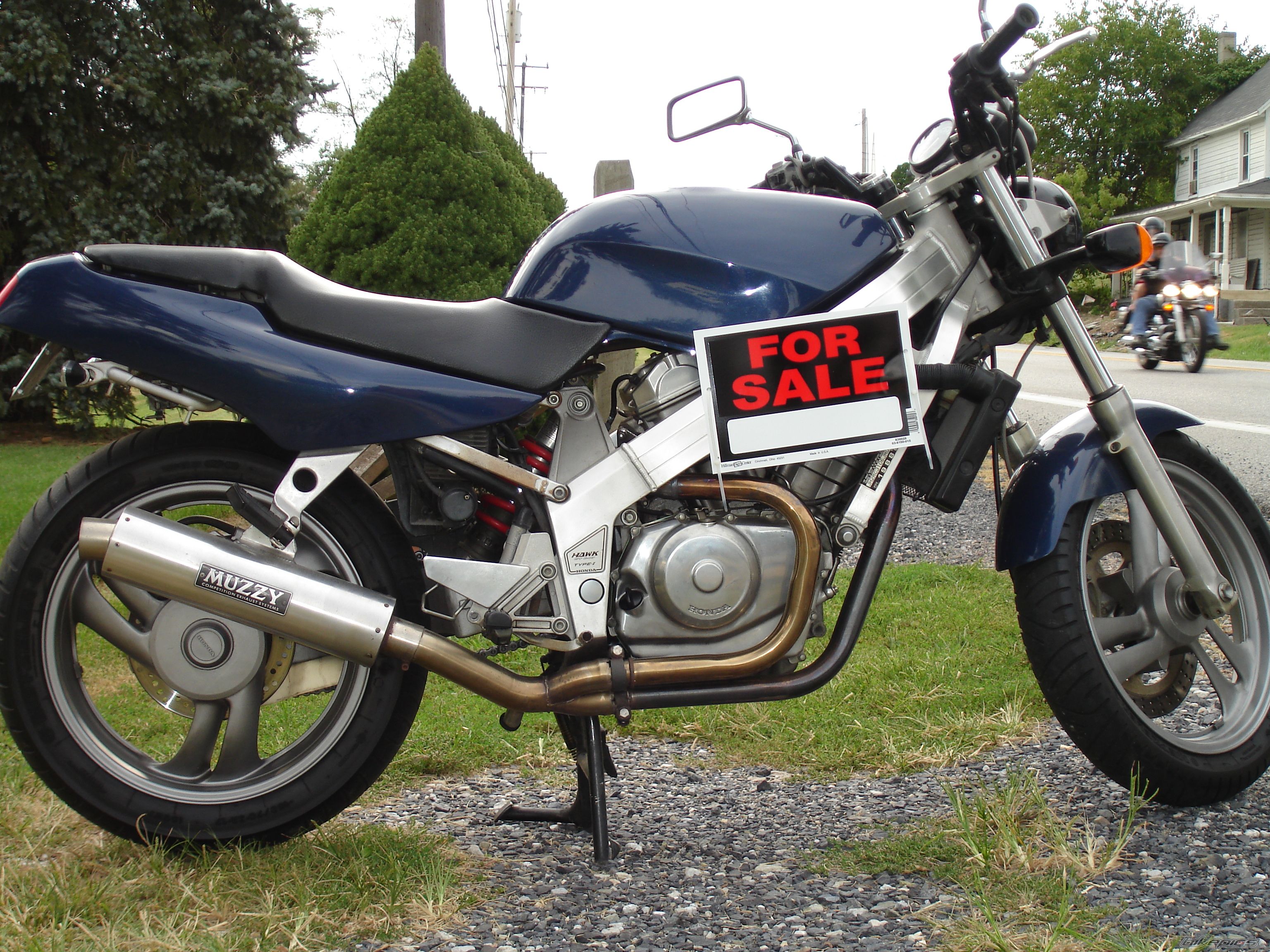 Photo 1262970