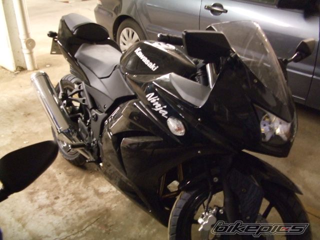Photo 1262973
