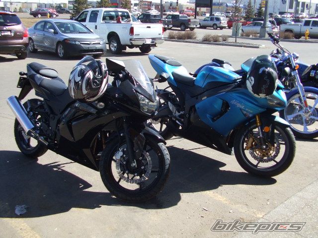 Photo 1262977