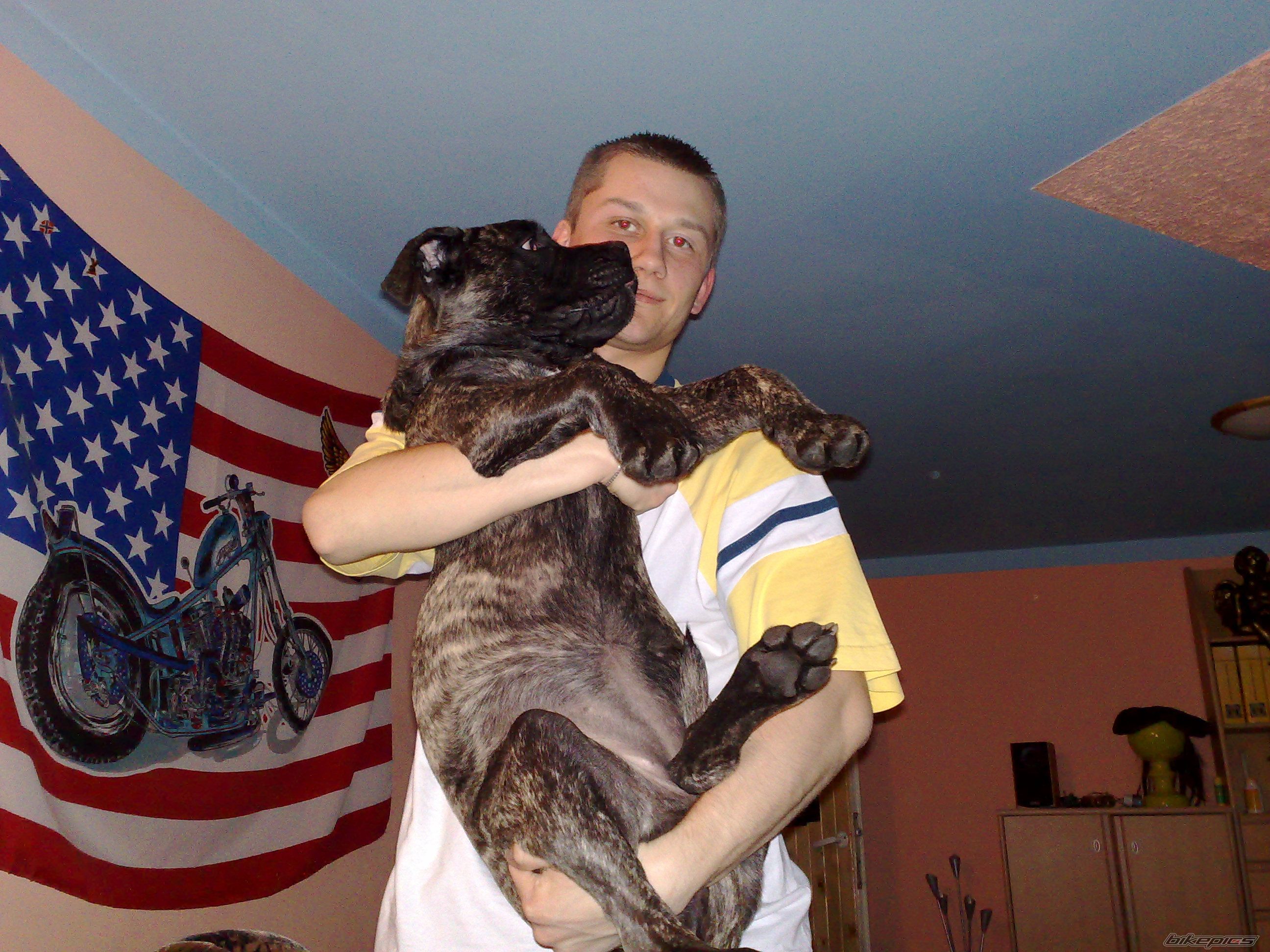 Photo 1262986