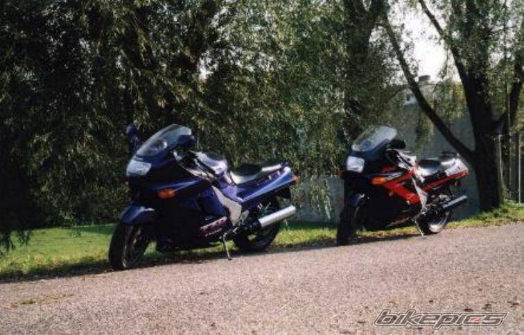 Photo 1263