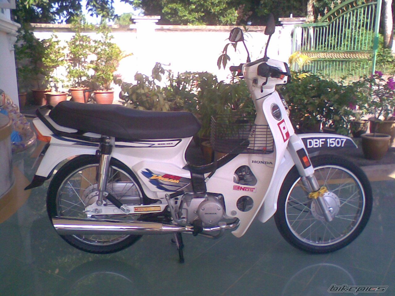 Photo 1263075