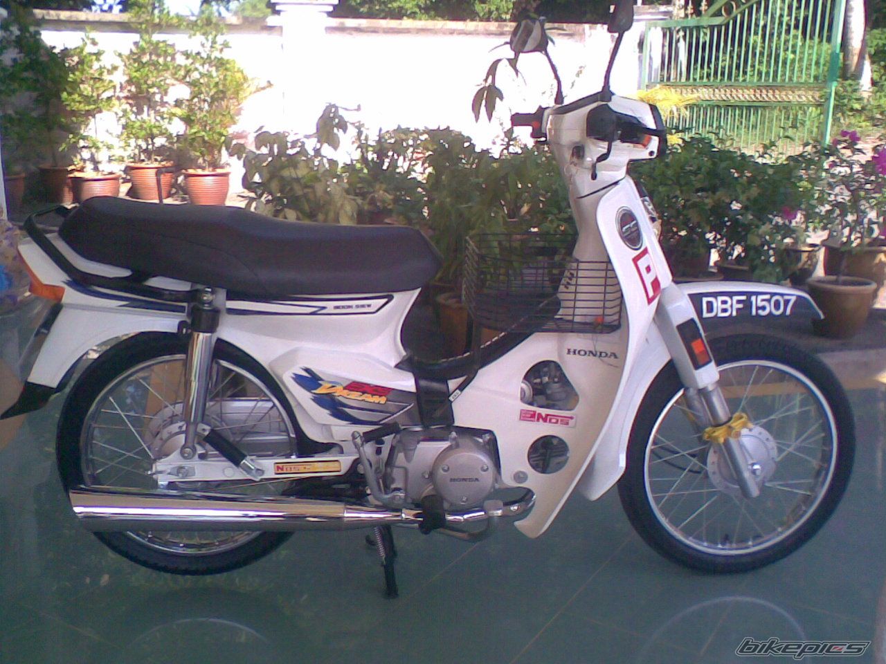 Photo 1263077