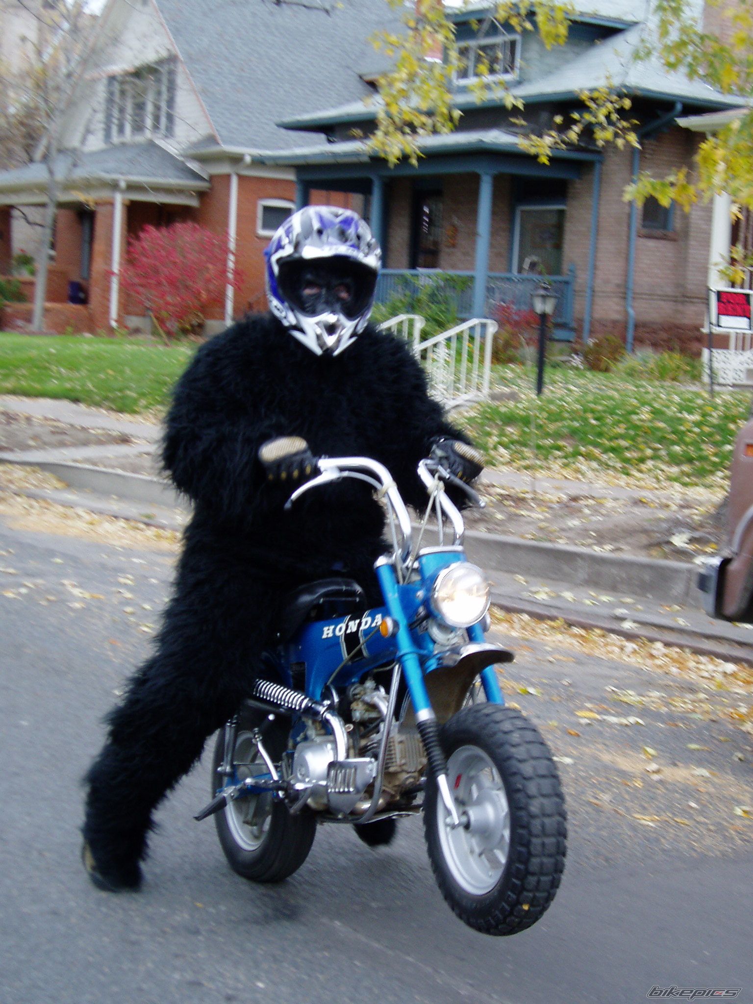 Bike Photo 1263116