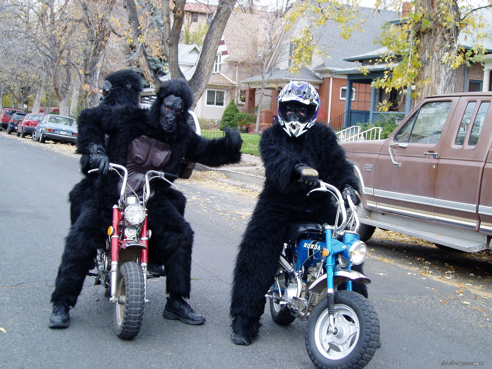 Bike Photo 1263117