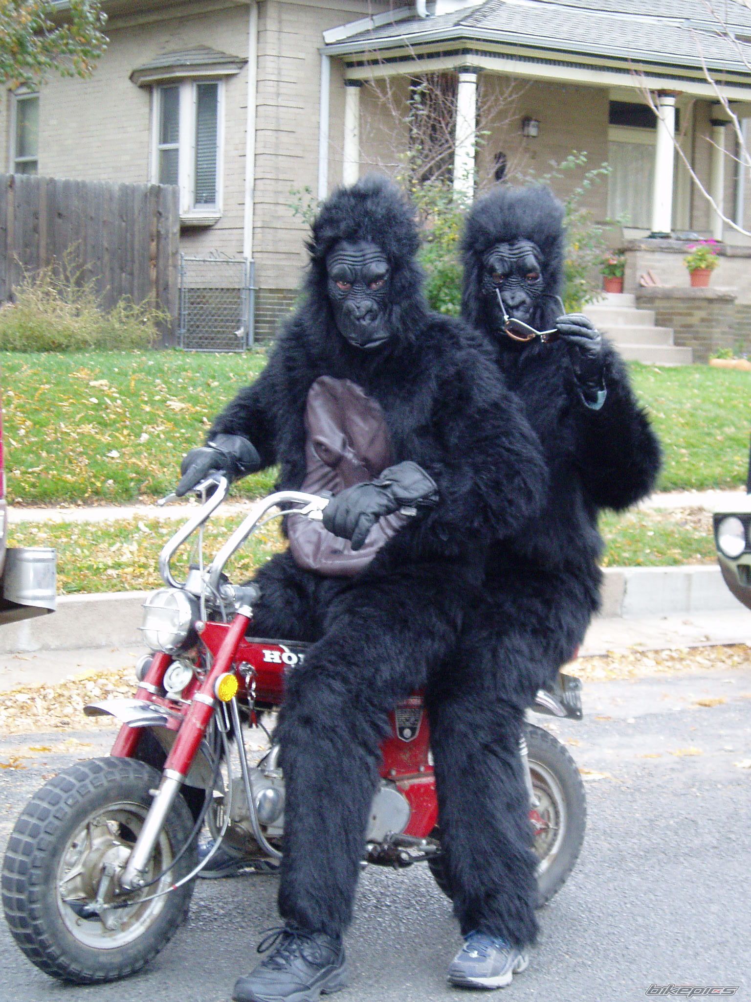 Bike Photo 1263118