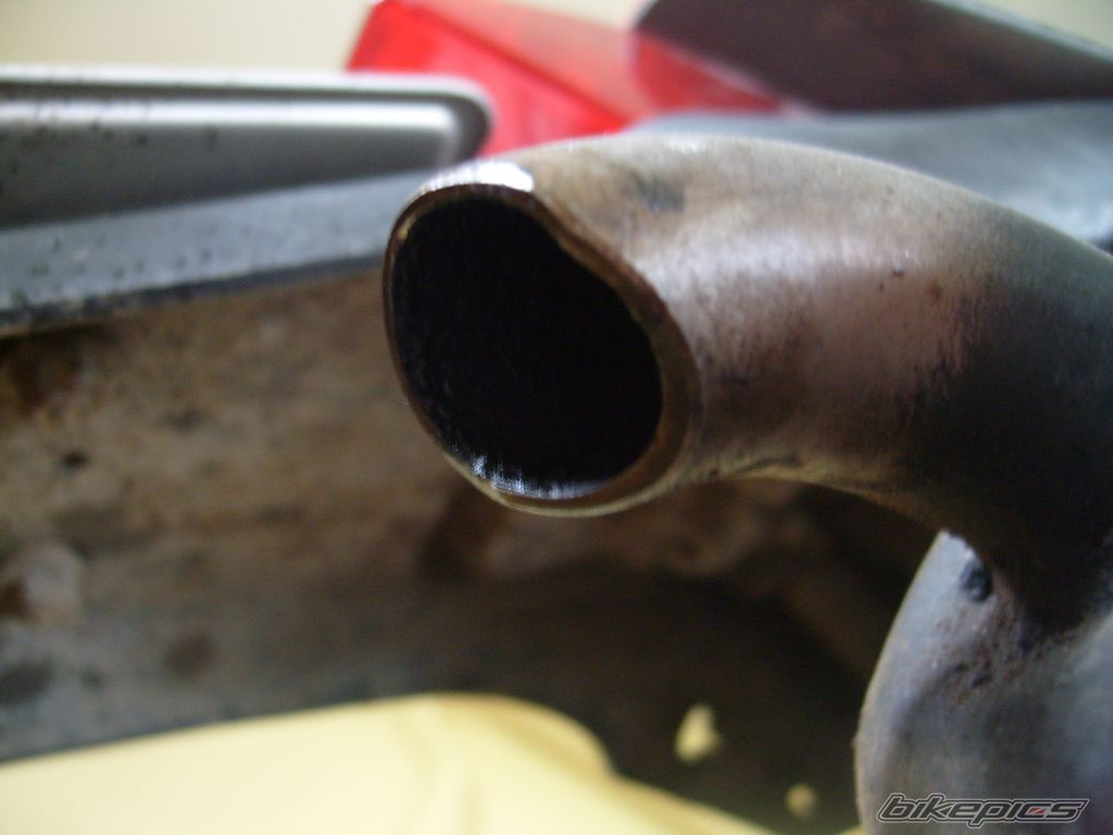 Photo 1263136