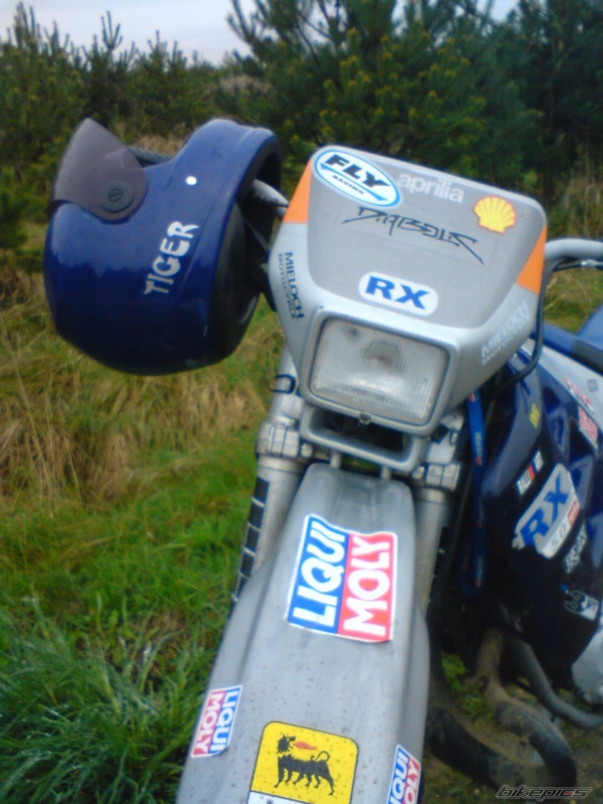 Photo 1263204