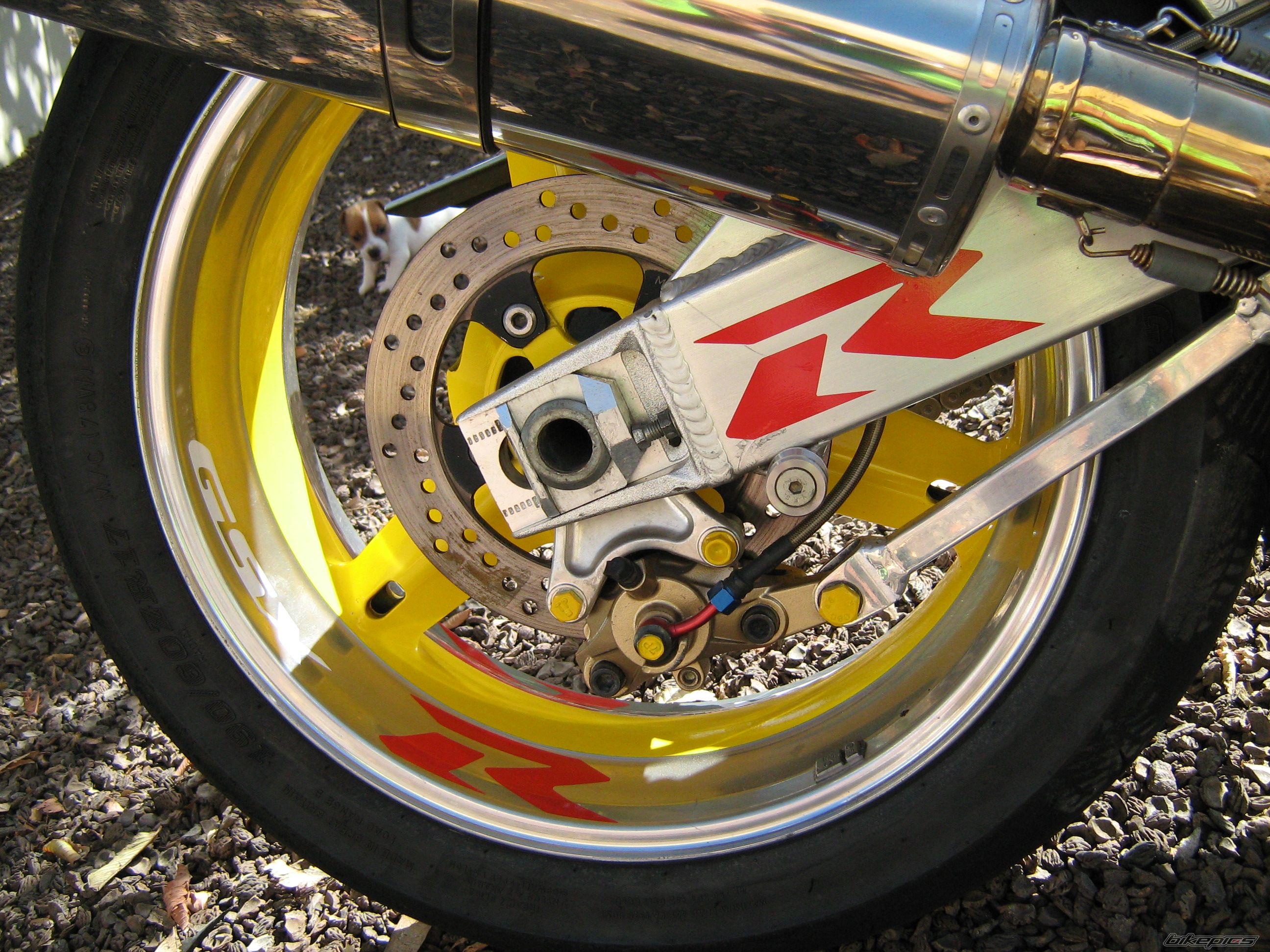 Bike Photo 1263208